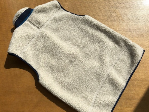 パタゴ二アの鎌倉　買取