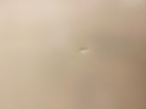 20年11月05日：画像７