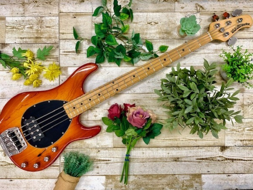 中古楽器店のギター