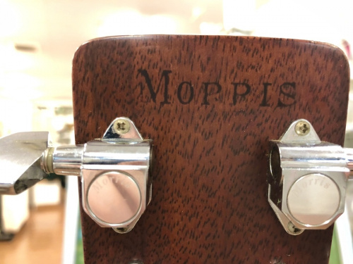 MORRISのモーリス