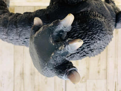 22年04月18日：画像７