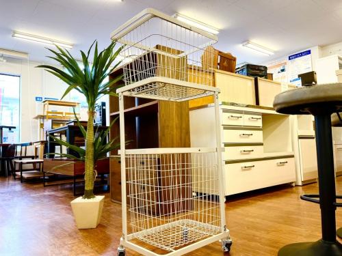 家具のジャーナルスタンダード