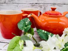 トレファク京都宇治店ブログ