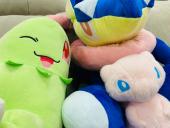 トレファク京都宇治店ブログ