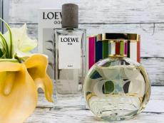 トレファク京都宇治店ブログ