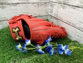 トレファク京都宇治店ブログ