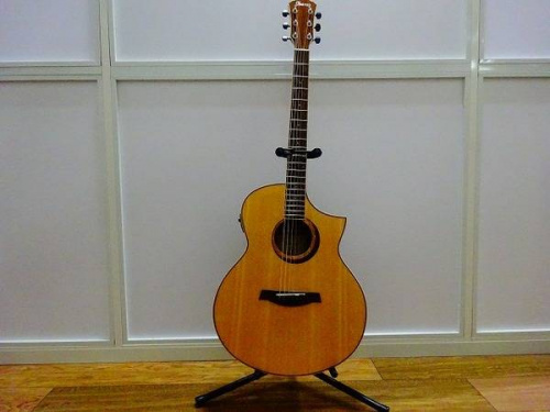 エレアコのibanez