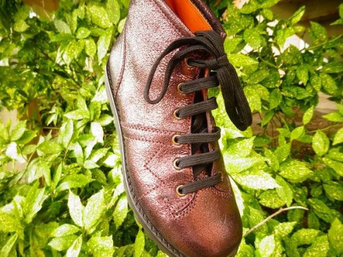 17年09月17日：画像６