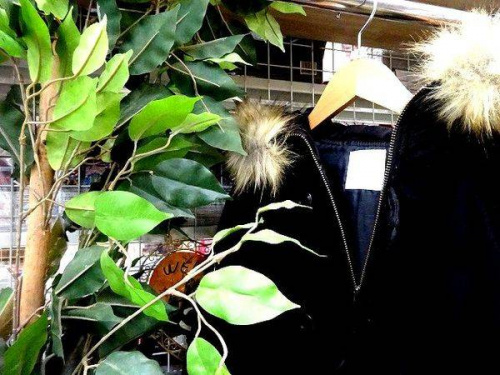 衣類　買取　京都　の古着　京都　買取