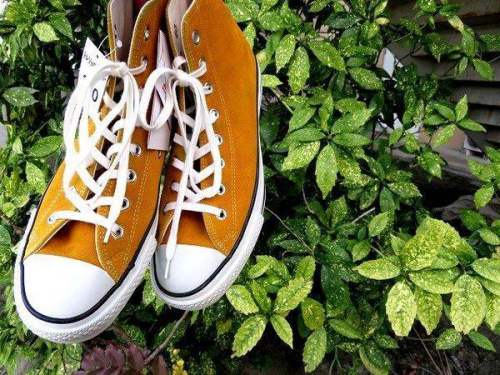 CONVERSE 京都 買取