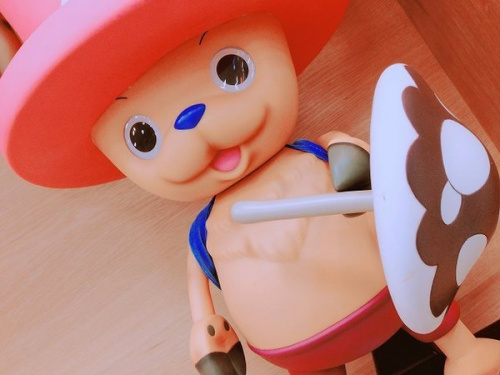 ホビー　買取　京都のワンピース