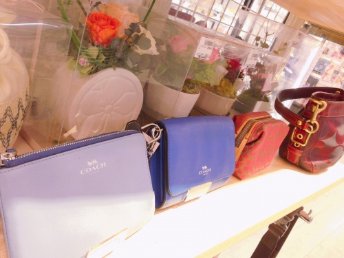 宇治　COACH　の宇治　コーチ