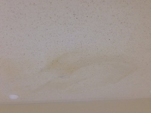 21年06月25日：画像１０