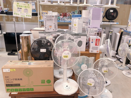 夏物家電の扇風機