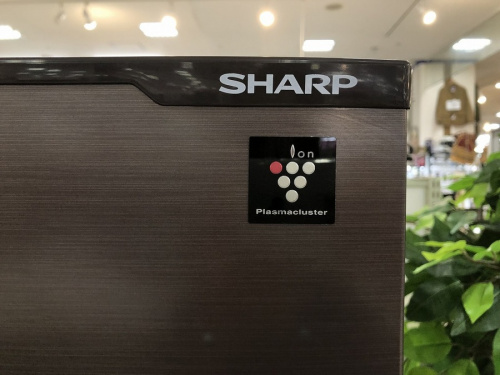 冷蔵庫のSHARP