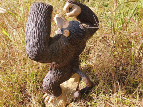 ドラゴンボールのおおざる