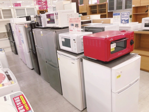 22年11月25日：画像８