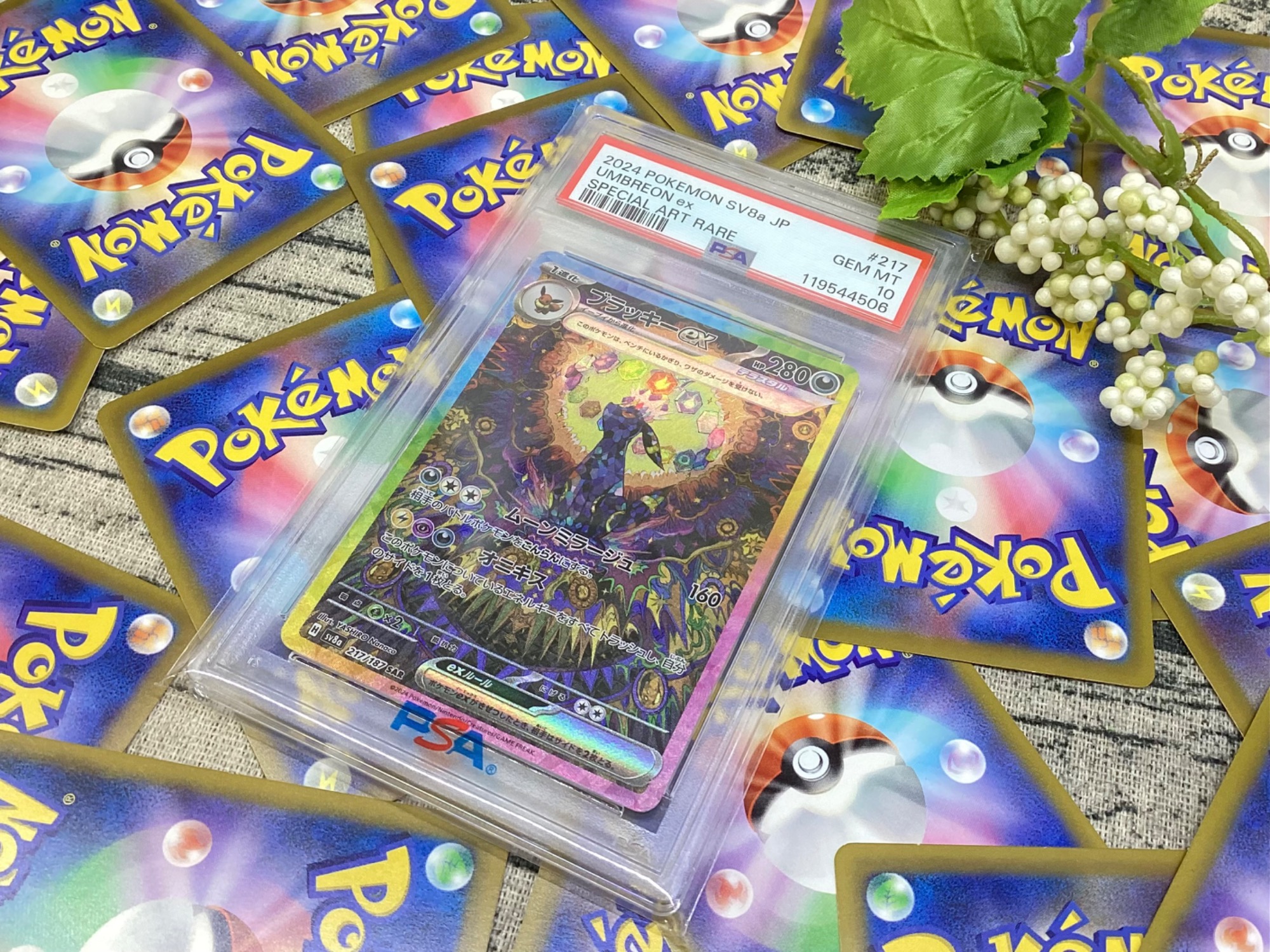 ポケモンカード買取強化中】ポケモンカード ブラッキーex PSA鑑定品の