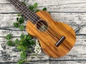 トレファクピエリ守山店ブログ