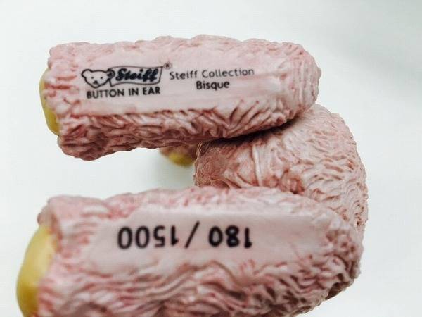 珍しいシュタイフ製陶器のテディーベア入荷しました【松戸店】｜2017年