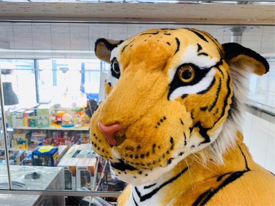 ビッグサイズ！トラのぬいぐるみが入荷しました！【松戸店】｜2019年05