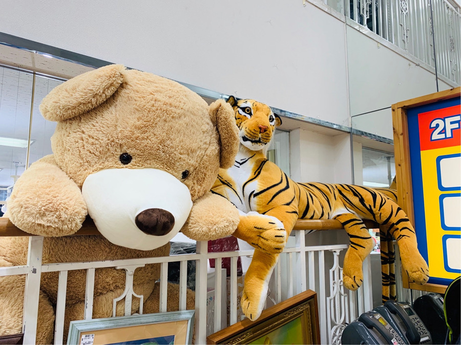 2m越え！特大サイズのぬいぐるみが入荷しました！【松戸店】｜2019年10