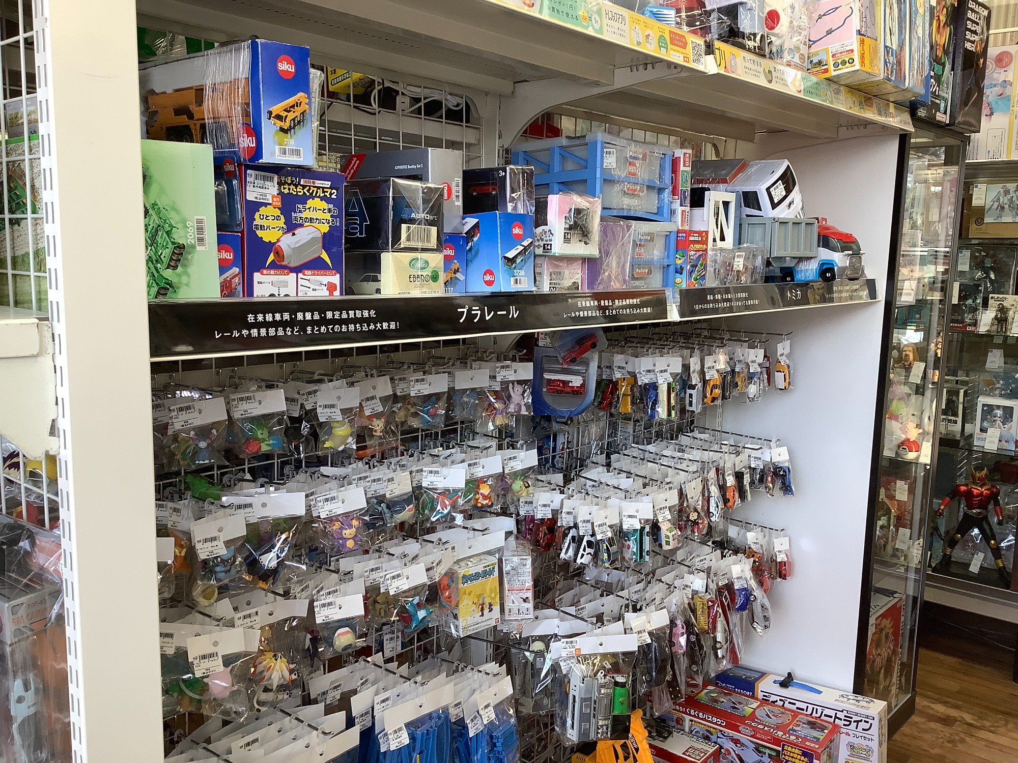 限定グッズも是非トレファクへ】ポケモンパンフレット ミュウツーの