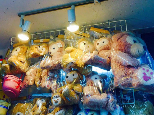 ﾌﾞﾗﾝｹｯﾄの松戸店