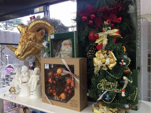 17年11月11日：画像７