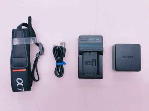 ミラーレスのSONY