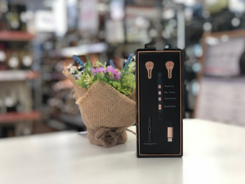 デジタル家電のオーディオ