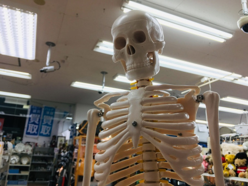 インテリアの1点もの