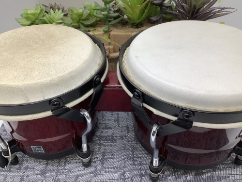 楽器のボンゴ