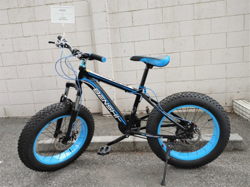 アウトドアのファットバイク