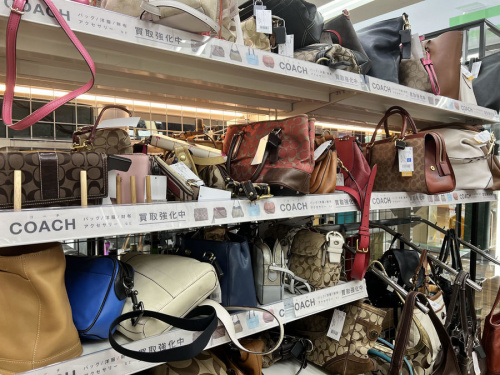 21年11月17日：画像６