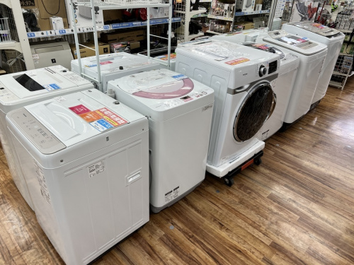 ポイント5倍デー