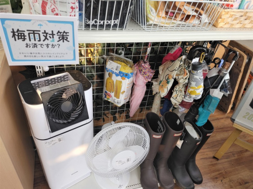 梅雨のレインブーツ