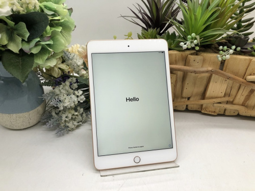 デジタル家電のiPad