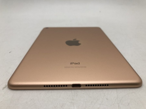 iPad mini