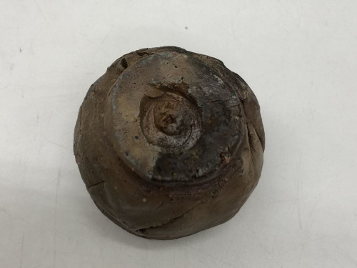 22年07月19日：画像６