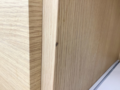 22年03月08日：画像７