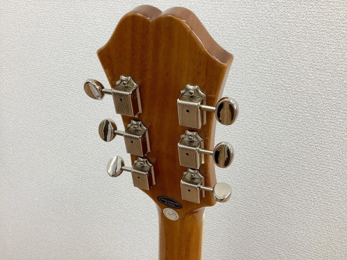 Casino CoupeのEpiphone