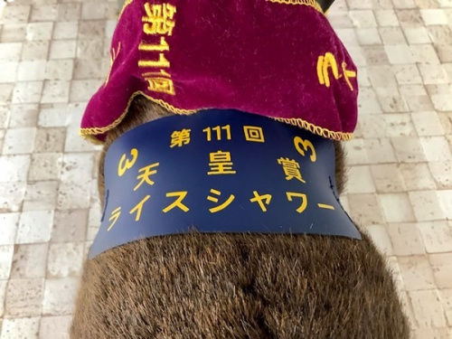 競馬のリサイクルショップ福岡