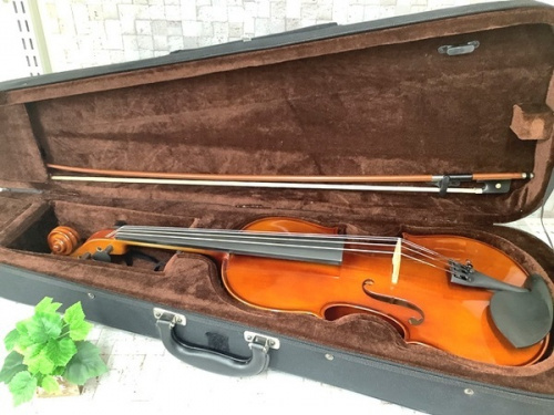 ヴィオラのCarlo giordano（カルロジョルダーノ）