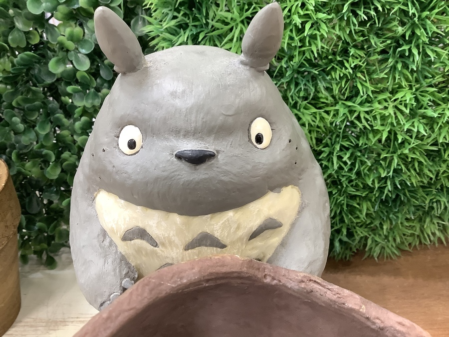 トトロ 栽培セット ドンドコまつり プランター 未使用品 スマホで購入】トトロのガーデニングプランターのご紹介です