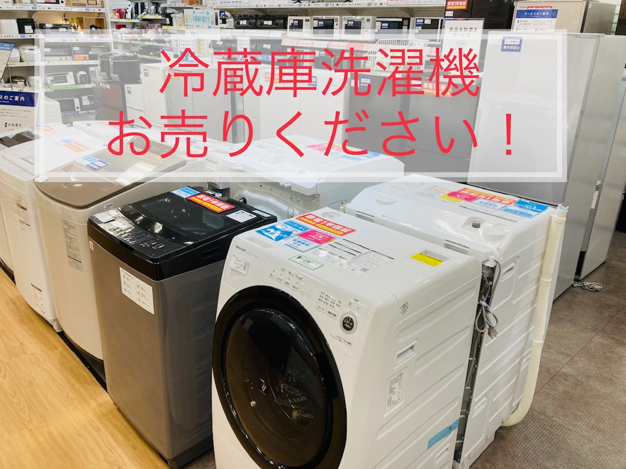 【トレファク熊谷駅前店】SHARPの全自動洗濯機のご紹介です！ 新生活応援！】SHARP 全自動洗濯機 2023年製をご紹介!!｜2026年04月10