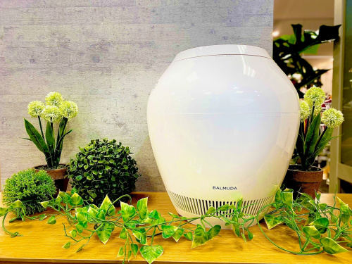 BALMUDA/バルミューダ】2020年製の気化式加湿器をご紹介致します 
