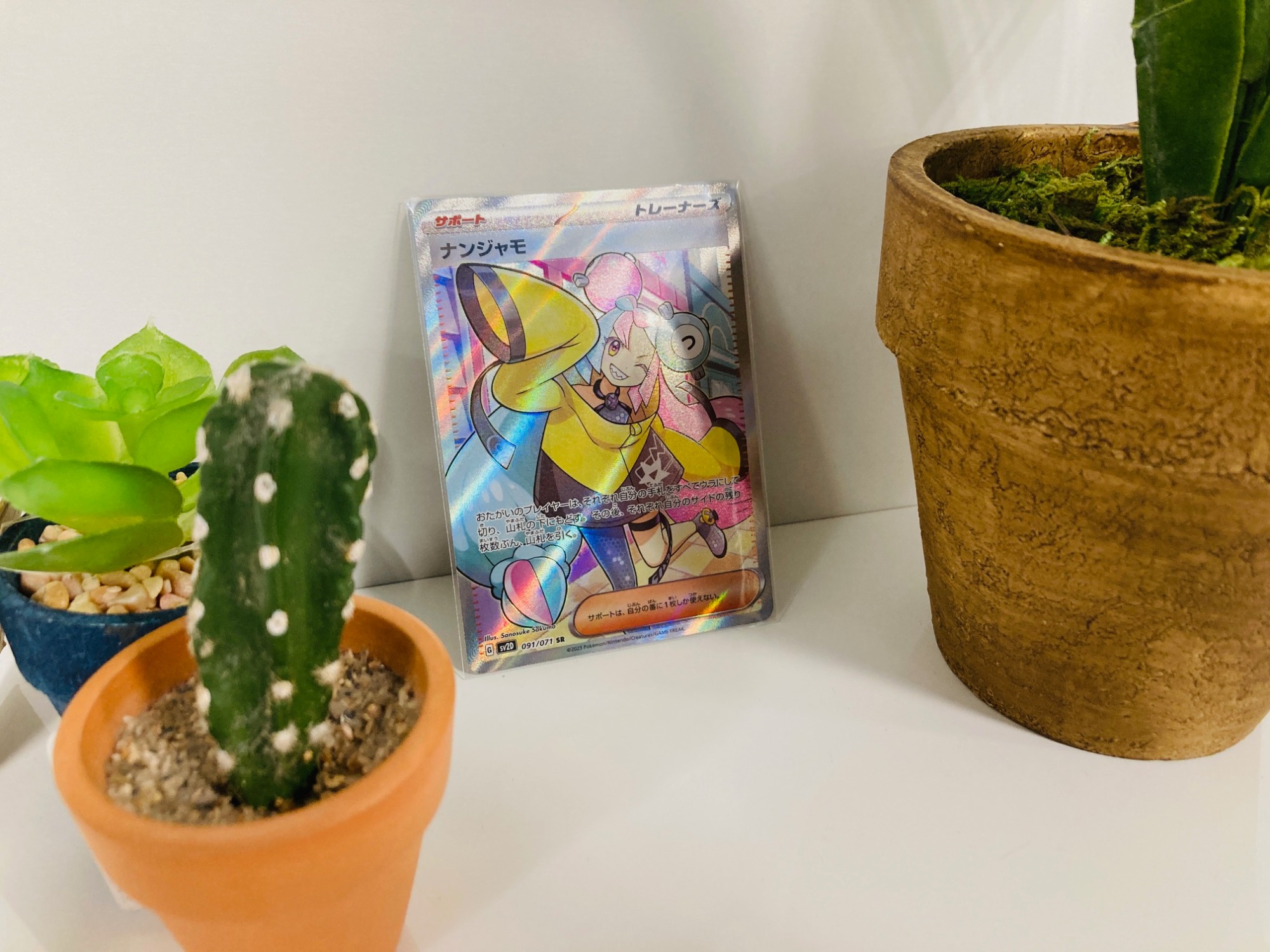 モカSS レアカラー多数有り　5個セット売り 楽天市場】【ポイント5倍】 コーヒー豆 モカ 特選 モカ スペシャル