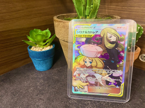 ポケカ】シロナ＆カトレアSRを買取入荷致しました！｜2023年06月16日