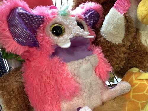 トレファクブログ画像8